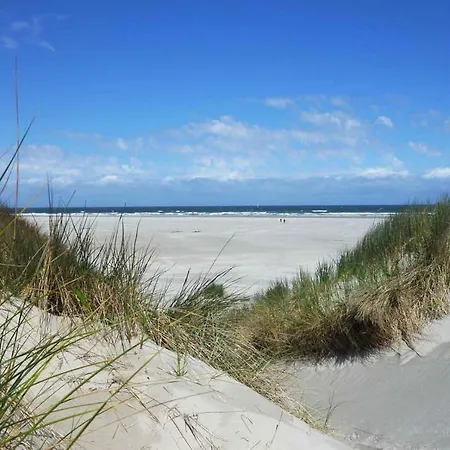 Oase, Zanddijk 75 * Julianadorp