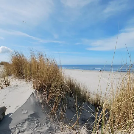 Oase, Zanddijk 75 Dağ evi Julianadorp