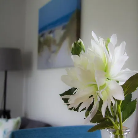 Dağ evi Oase, Zanddijk 75 *