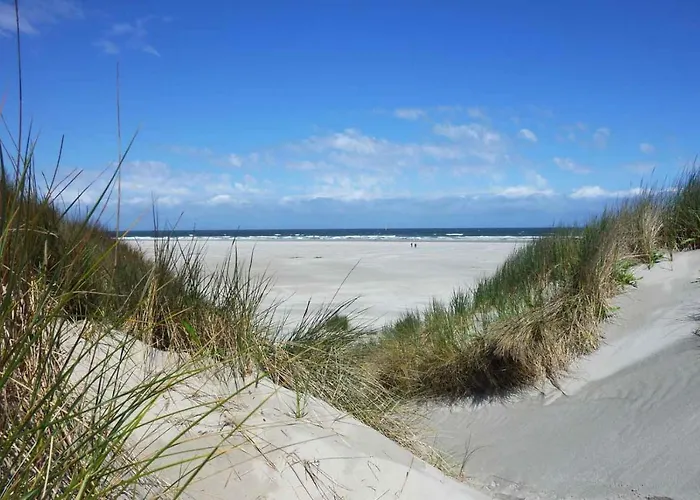 Oase, Zanddijk 75 * Julianadorp
