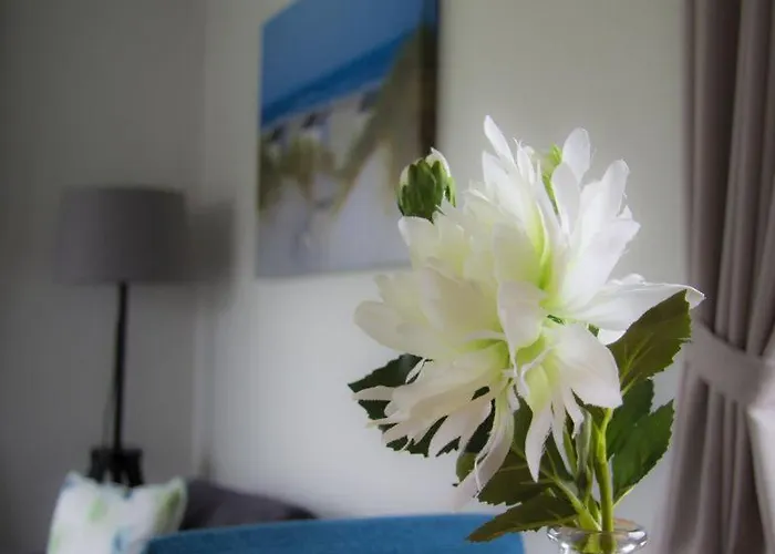 Chalet Oase, Zanddijk 75 *